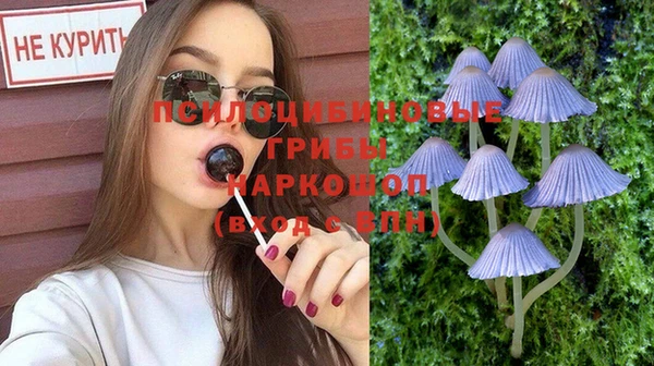 таблы Алексин